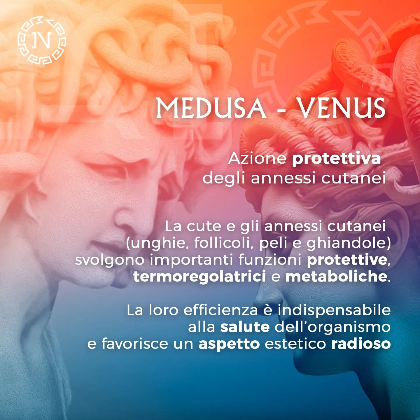 MEDUSA - Venus